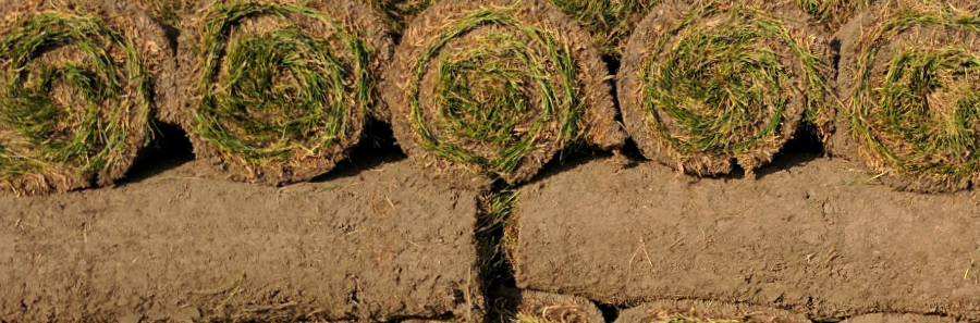 windsor sod, sod rolls, sod stack