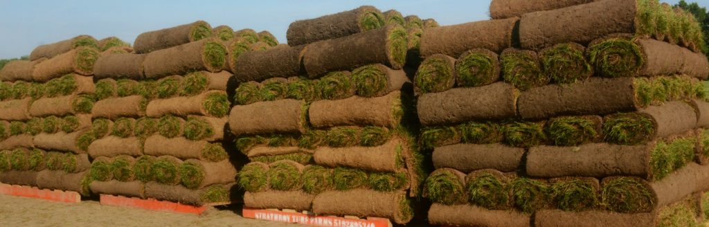 sod delivery, order sod, sod pallets, sod stack, ontario sod, windsor sod,